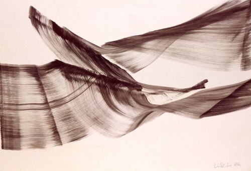 0897002.jpg