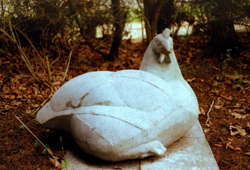Fotograf: Eget foto
Værk  titel: H&oslash;ne 
Værk  type: Skulptur 
Materiale: Cement 
Størrelse: 85x150x75 cm. 
Færdiggjort: 1983 