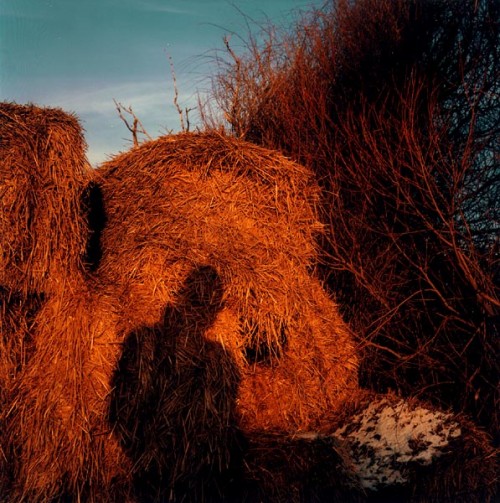 Fotograf: Ulrich Møllgaard
Værk  titel: #97-004-06 
Værk  type: Fotografi 
Materiale: Farvenegativaftryk 
Størrelse: 25x25 cm 
Færdiggjort: 1997 