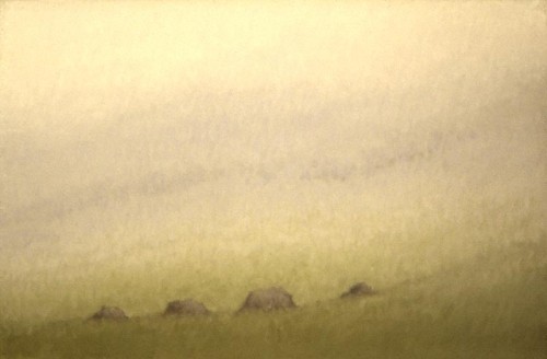2485002.jpg