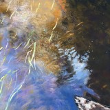 64085D03-AFEA-45F8-8770-D39F645F6C0F