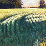 9F4D9354-B4E8-4E8B-B537-8626E9E3287A