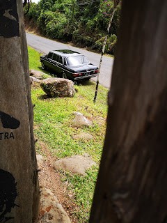 COSTA RICA COUNTRY LIMOUSINE. 300D MERCEDES W123 TOURS
