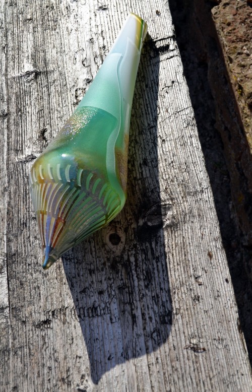 Green Cone Shell