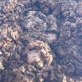 IMG_20241201_132022118