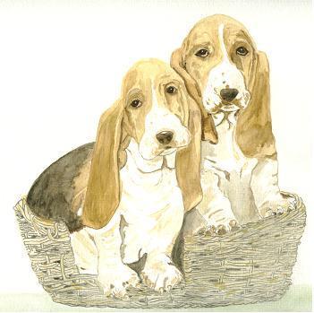 ScRe128200895426tobassets.jpg