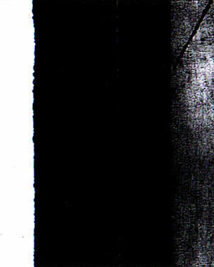 arti414200843729rosen3.jpg